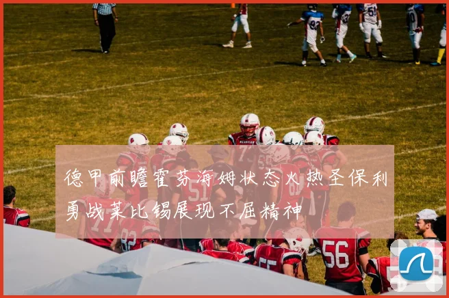 德甲前瞻霍芬海姆状态火热圣保利勇战莱比锡展现不屈精神