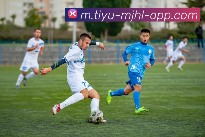 多媒体互动体验